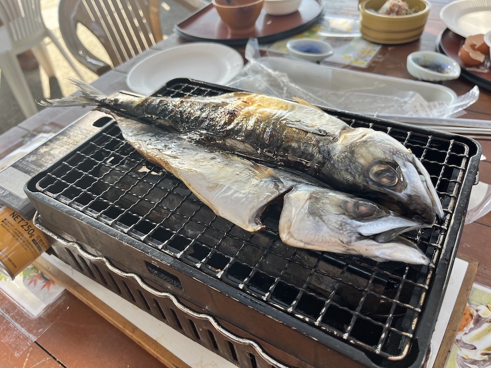 館山市の漁港食堂だいぼの朝定食鯵を焼く