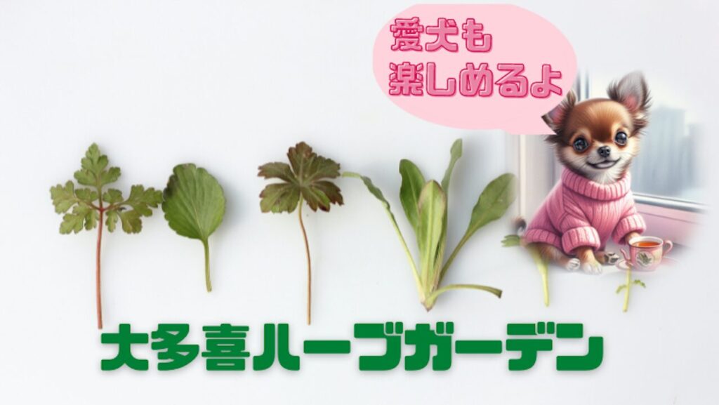 大多喜ハーブガーデン