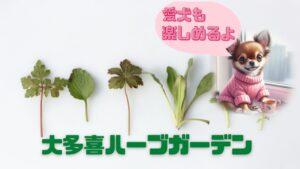 大多喜ハーブガーデン
