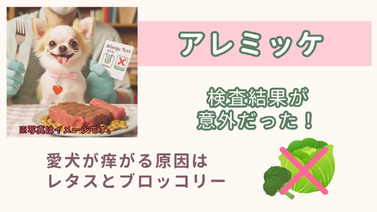 不耐性検査のアレミッケ