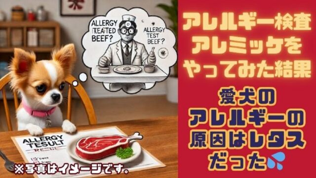 アレミッケで愛犬のアレルギー検査をやってみた！｜青空いい千葉 千葉のお勧めスポットとキャンピングカー、時々ゴルフ