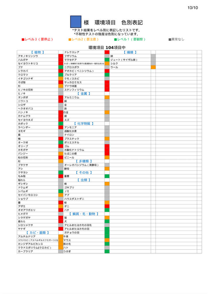 アレミッケ結果シート4