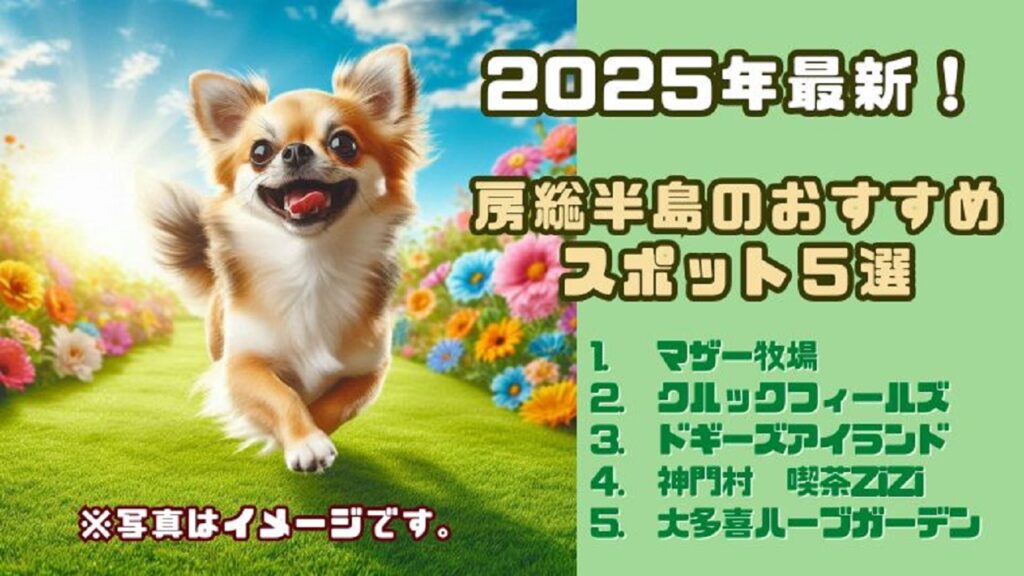 【2025年最新】愛犬と行ける♪ 房総半島（千葉県）のおすすめスポット５選