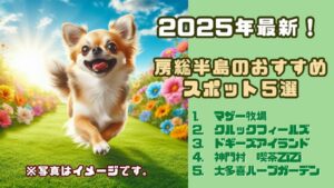 【2025年最新】愛犬と行ける♪ 房総半島（千葉県）のおすすめスポット５選