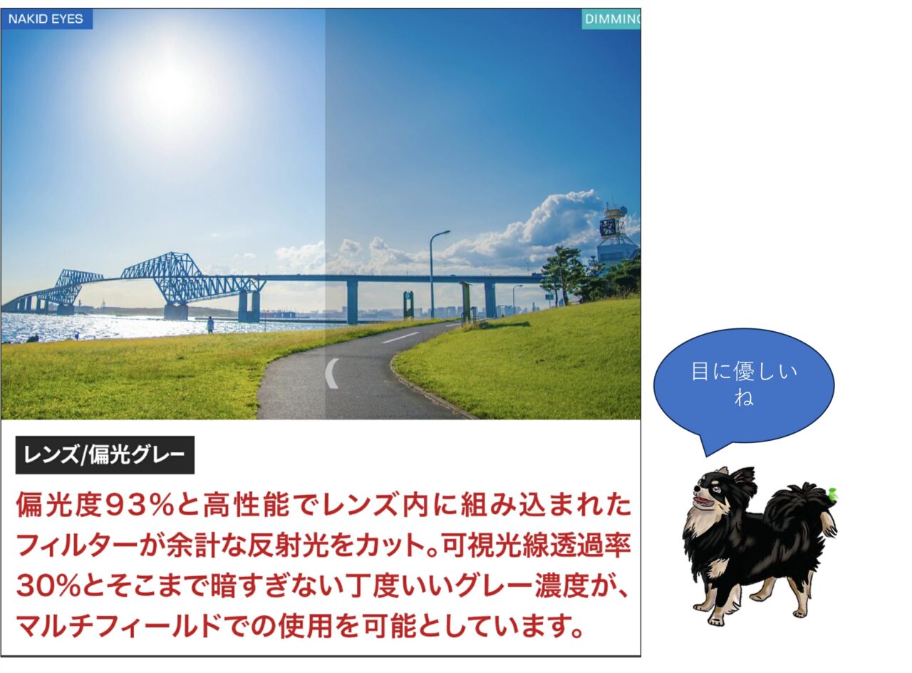 鯖江市のサングラス、エアフライの特徴