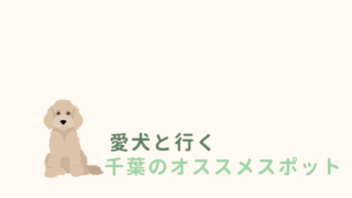愛犬と行く千葉のオススメスポット