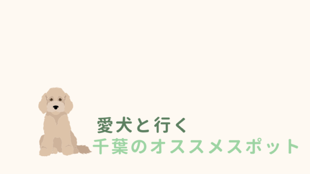 愛犬と行く千葉のオススメスポット