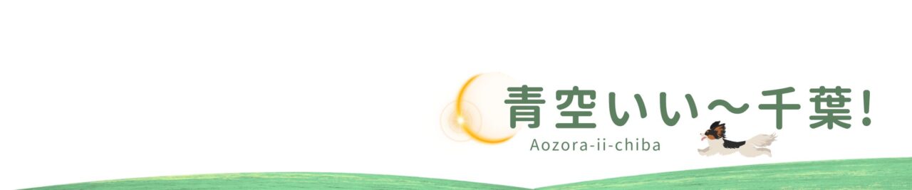 ロゴ画面