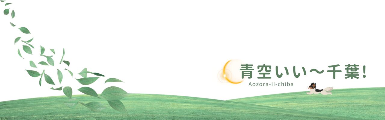 ロゴ画面