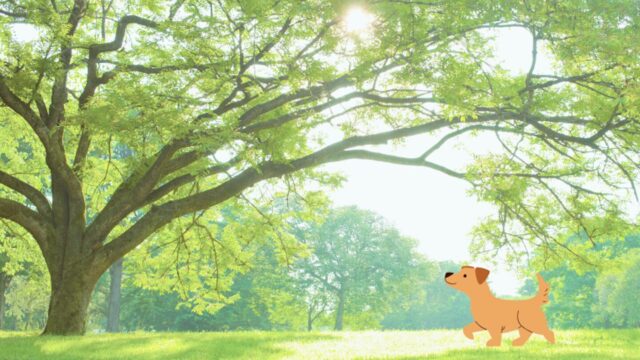 愛犬との千葉旅