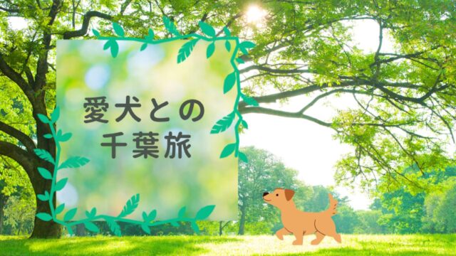 愛犬との千葉旅
